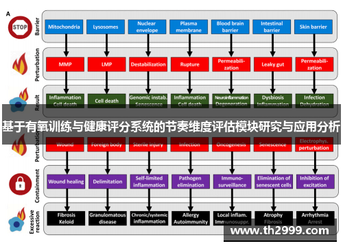 基于有氧训练与健康评分系统的节奏维度评估模块研究与应用分析
